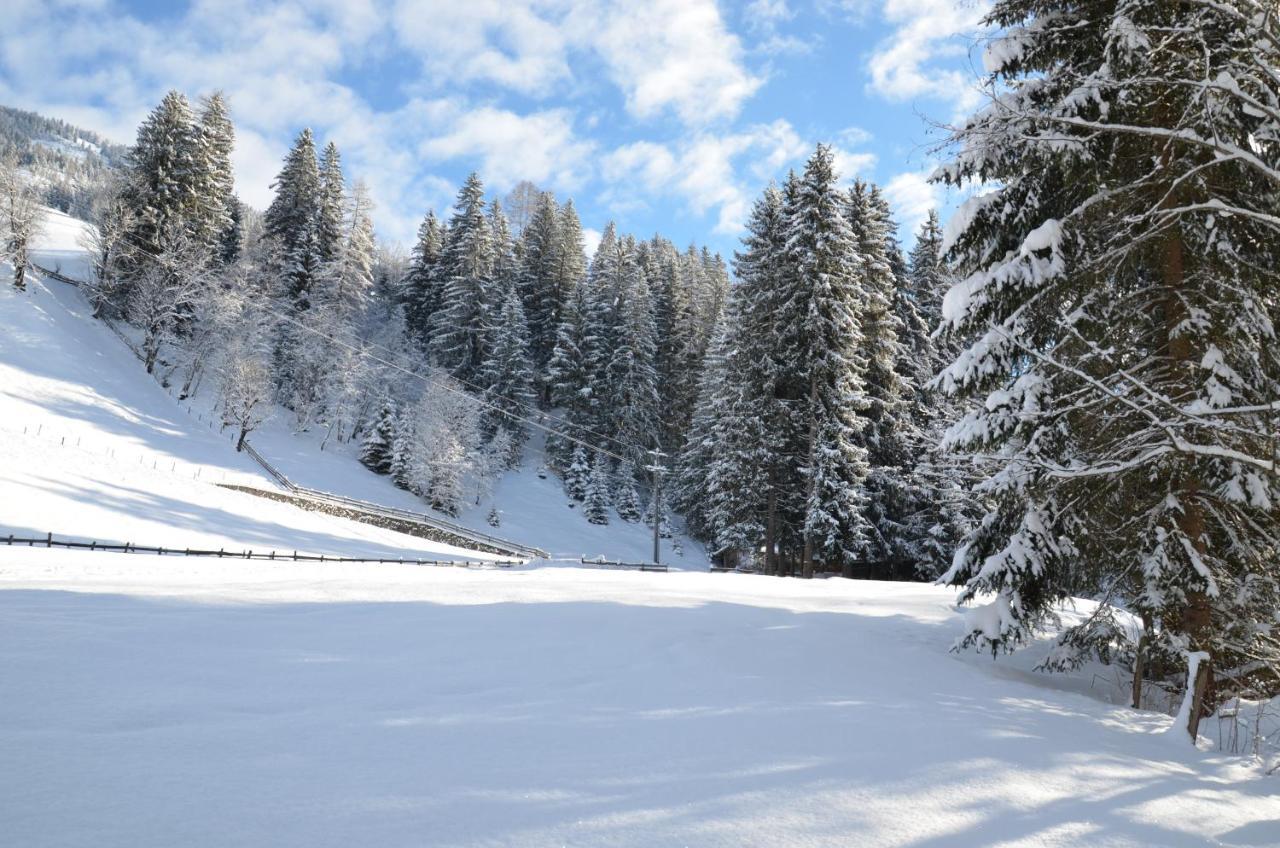 Haus Am Sunnfeld Apartment Alpbach Luaran gambar