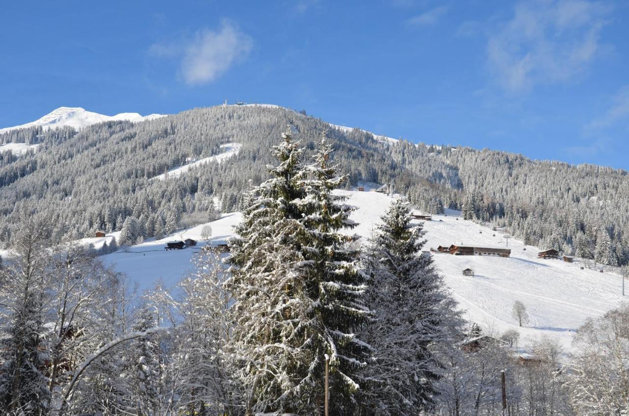 Haus Am Sunnfeld Apartment Alpbach Luaran gambar