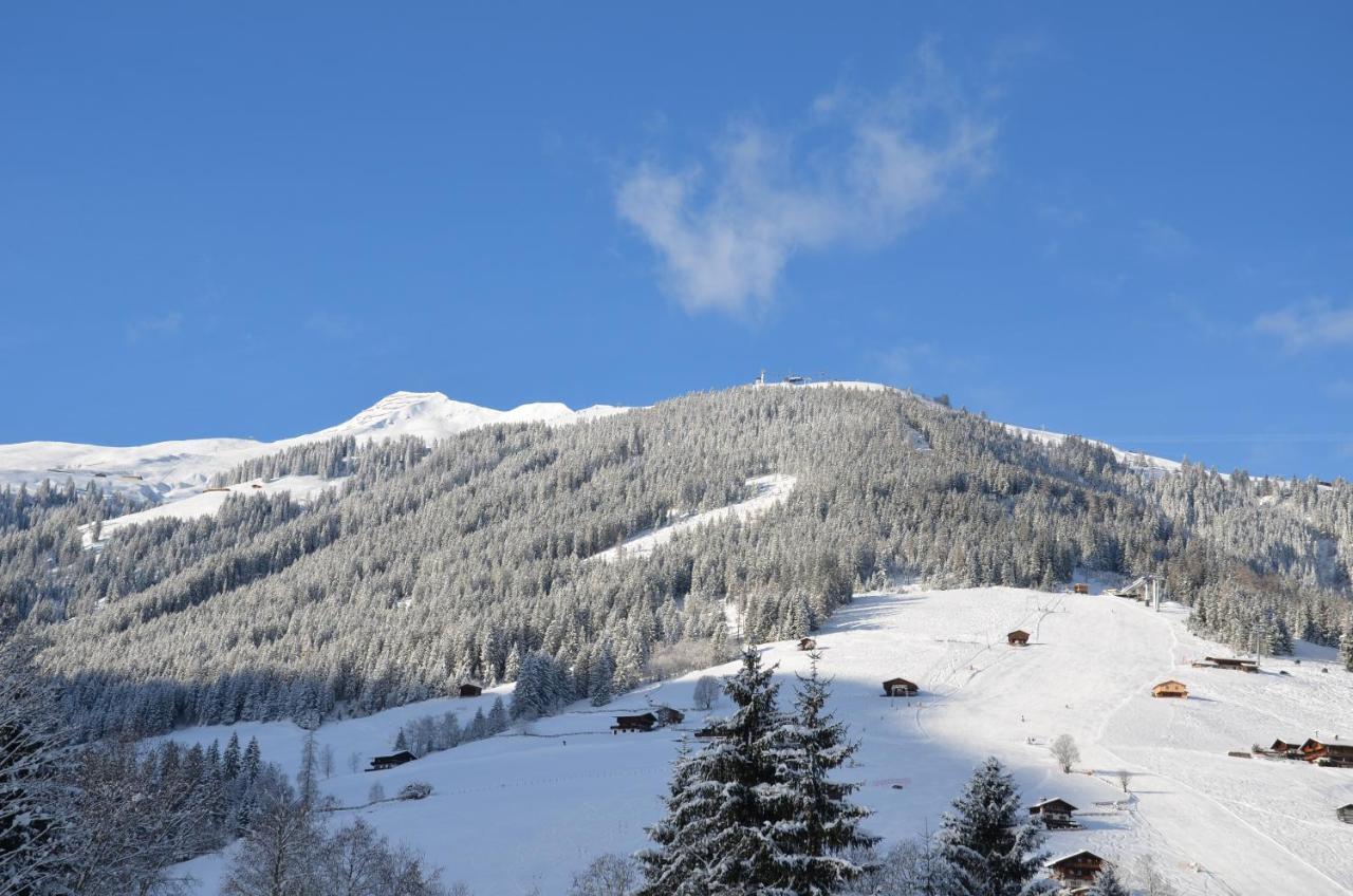 Haus Am Sunnfeld Apartment Alpbach Luaran gambar
